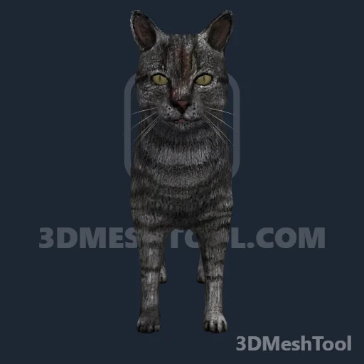 a_c_cat_01 (GTA V)