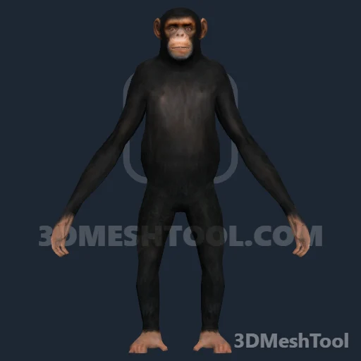 a_c_chimp - hash 0xA8683715 / 2825402133: foto no GTA V