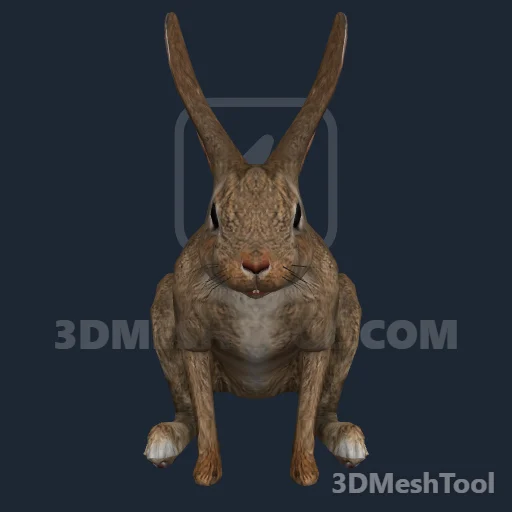 a_c_rabbit_01 (GTA V)