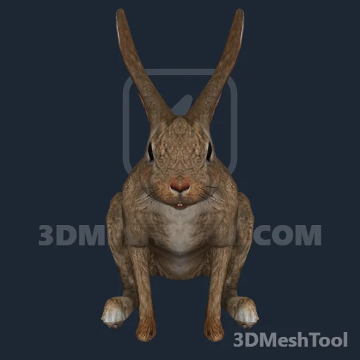 a_c_rabbit_02 (GTA V)