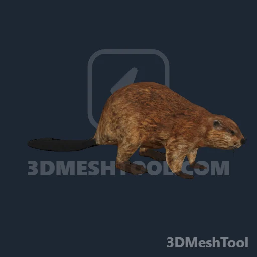 a_c_beaver_01 (RedM (RDR2))