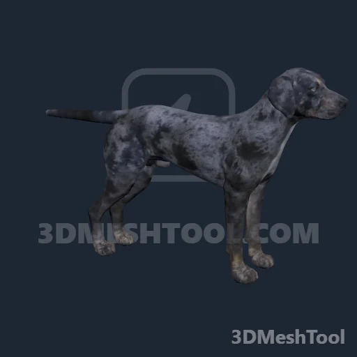 a_c_dogcatahoulacur_01 (RedM (RDR2))