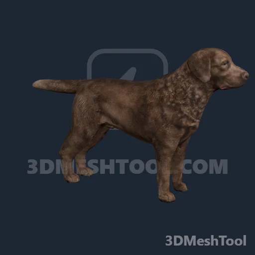 a_c_dogchesbayretriever_01: foto do modelo no RedM (RDR2)