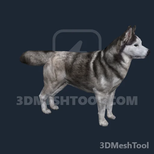 a_c_doghusky_01: foto do modelo no RedM (RDR2)