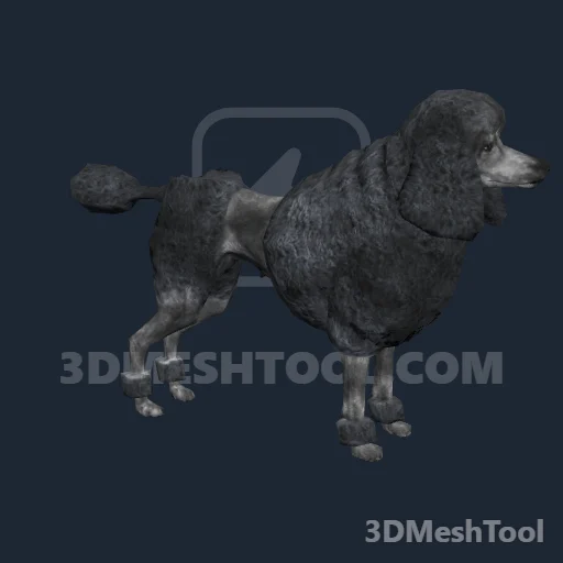 a_c_dogpoodle_01: foto do modelo no RedM (RDR2)