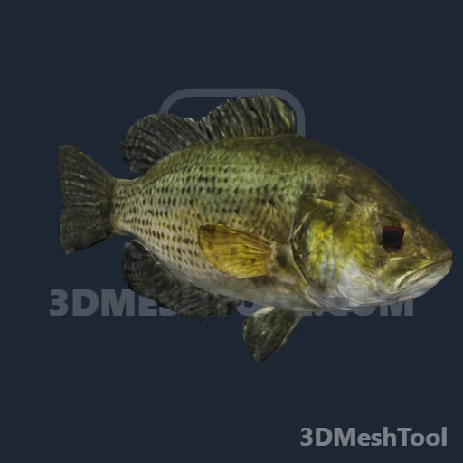 a_c_fishrockbass_01_ms (RedM (RDR2))