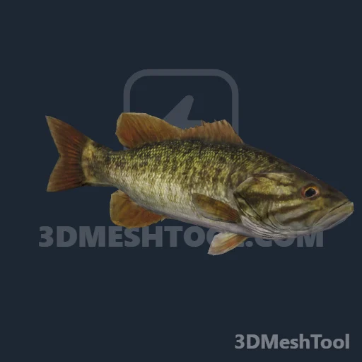 a_c_fishsmallmouthbass_01_lg (RedM (RDR2))