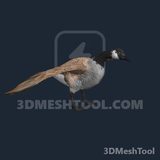 a_c_goosecanada_01 (RedM (RDR2))