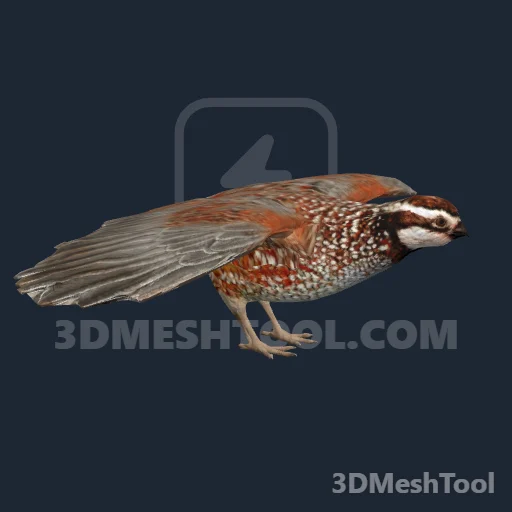 a_c_quail_01: foto do modelo no RedM (RDR2)