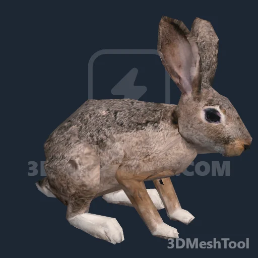 a_c_rabbit_01 - hash 0xDFB55C81 / 3753204865: foto no RedM (RDR2)