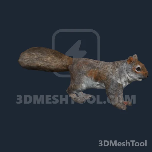 a_c_squirrel_01 - hash 0x5758D069 / 1465438313: foto no RedM (RDR2)
