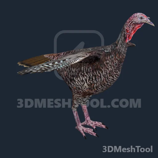 a_c_turkey_02: foto do modelo no RedM (RDR2)