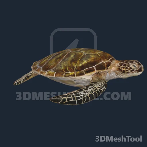 a_c_turtlesea_01 - hash 0xA97D7D0C / 2843573516: foto no RedM (RDR2)