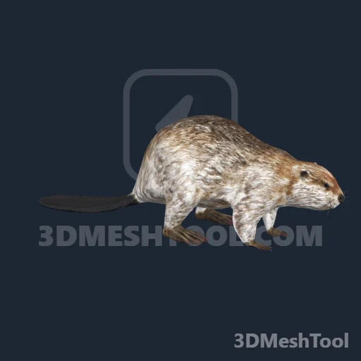 mp_a_c_beaver_01 - hash 0xBB746741 / 3144968001: foto no RedM (RDR2)