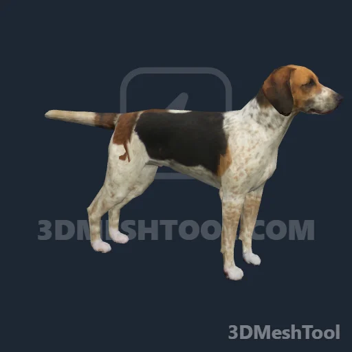mp_a_c_dogamericanfoxhound_01: foto do modelo no RedM (RDR2)