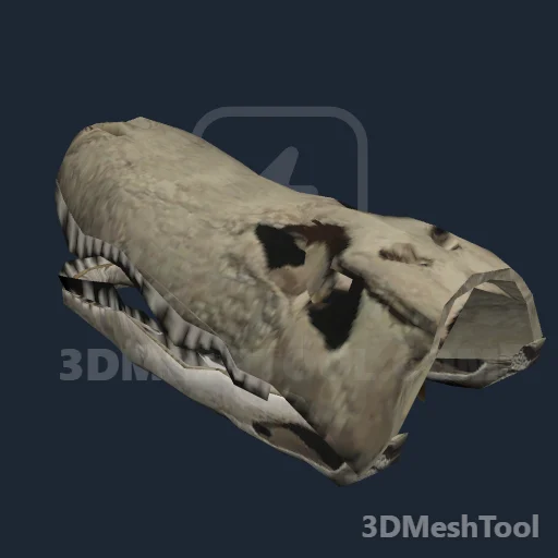 p_alligatorskull01x - hash 0x4312F962 / 1125316962: foto no RedM (RDR2)