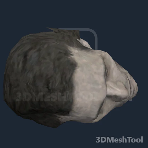 p_bodyparthead01x - hash 0x704B5F06 / 1883987718: foto no RedM (RDR2)