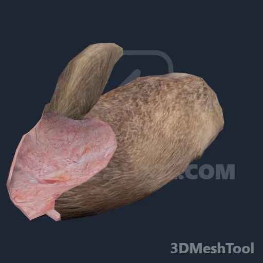 p_cs_pelt_med_badger: foto do modelo no RedM (RDR2)