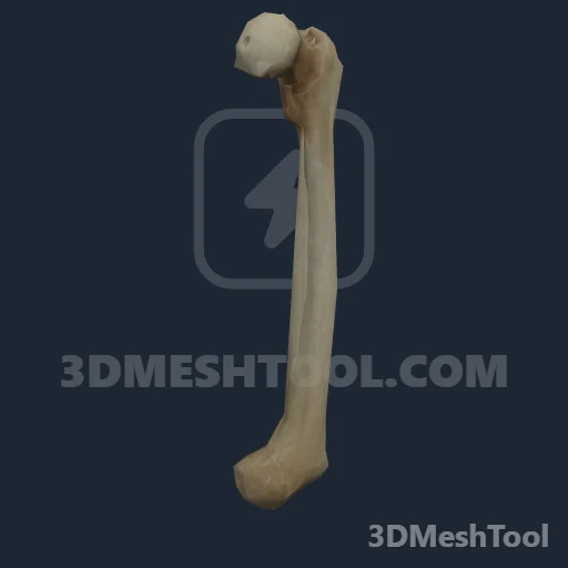p_femur01x - hash 0xCDBACFB6 / 3451572150: foto no RedM (RDR2)