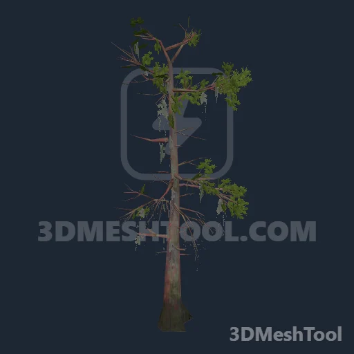 p_tree_baldcypress_01a_os - hash 0x4371AE3C / 1131523644: foto no RedM (RDR2)