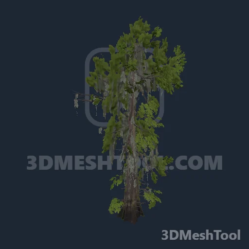 p_tree_baldcypress_03_script - hash 0xB98A8704 / 3112863492: foto no RedM (RDR2)