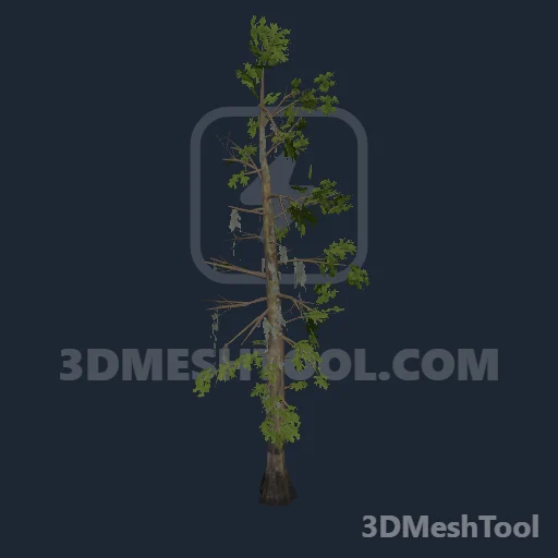 p_tree_baldcypress_04a - hash 0xCFD85290 / 3487060624: foto no RedM (RDR2)
