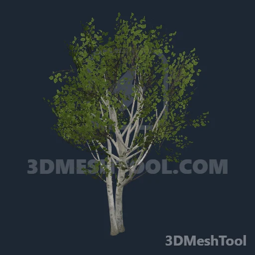 p_tree_birch_03b - hash 0x0C076147 / 201810247: foto no RedM (RDR2)