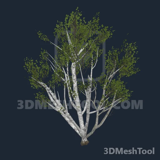 p_tree_birch_multistem - hash 0x277810A8 / 662180008: foto no RedM (RDR2)