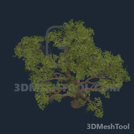 p_tree_cottonwood_01 - hash 0xBCE6D8A0 / 3169245344: foto no RedM (RDR2)