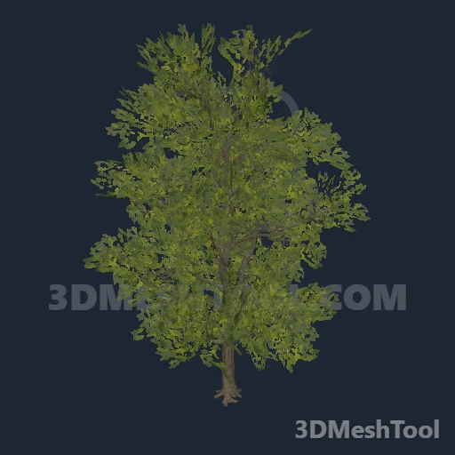 p_tree_cottonwood_02 - hash 0xA91AB114 / 2837098772: foto no RedM (RDR2)