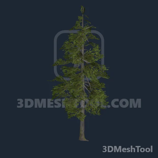 p_tree_douglasfir_04 - hash 0x74008667 / 1946191463: foto no RedM (RDR2)