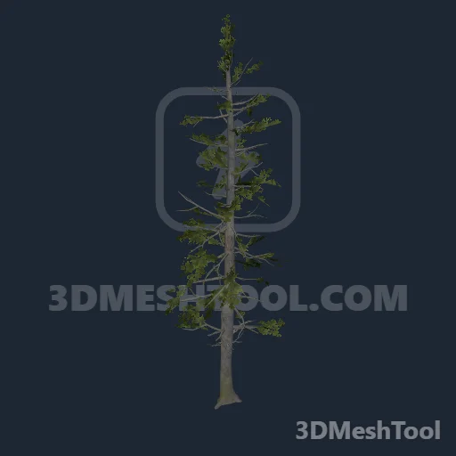 p_tree_douglasfir_05 - hash 0x835A251A / 2203723034: foto no RedM (RDR2)