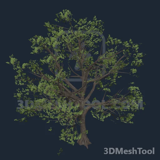 p_tree_engoak_01 - hash 0x276F4A5B / 661604955: foto no RedM (RDR2)