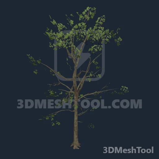 p_tree_engoak_01_lg - hash 0x94B7FDAF / 2495085999: foto no RedM (RDR2)