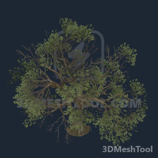 p_tree_liveoak_01 - hash 0x7F3CA354 / 2134680404: foto no RedM (RDR2)