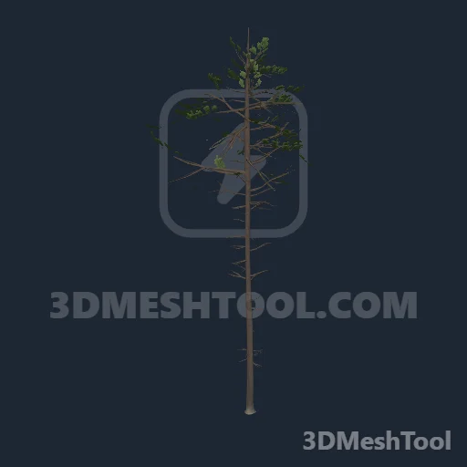 p_tree_lodgepole_03 - hash 0xCC03F519 / 3422811417: foto no RedM (RDR2)