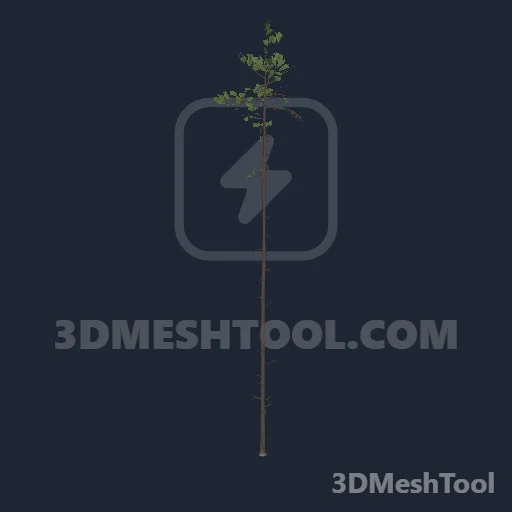 p_tree_lodgepole_05 - hash 0xD7918C34 / 3616640052: foto no RedM (RDR2)