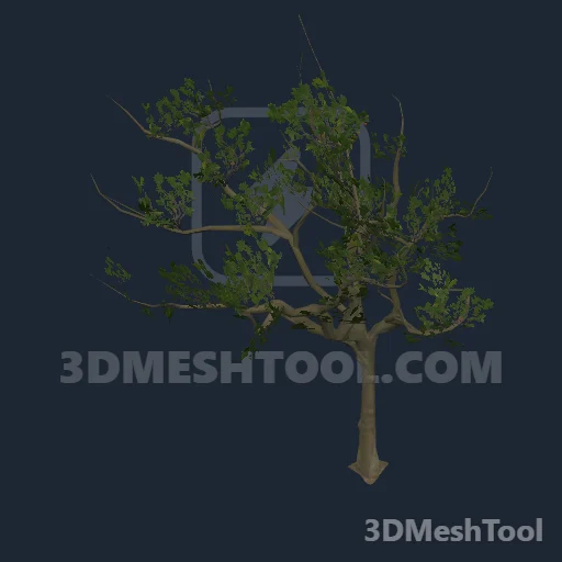 p_tree_magnolia_03_crt - hash 0x3F3CCCB5 / 1060949173: foto no RedM (RDR2)