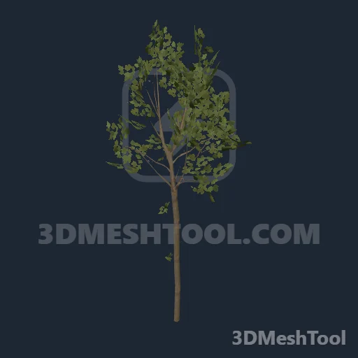 p_tree_maple_03_lg_os - hash 0x5B1CE994 / 1528621460: foto no RedM (RDR2)