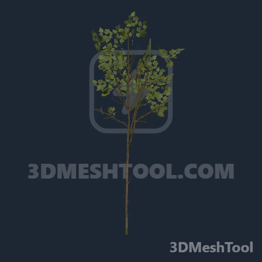 p_tree_maple_05_lg_m - hash 0xC84A7CCD / 3360324813: foto no RedM (RDR2)
