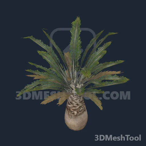 p_tree_palm_fan_06 - hash 0x64D29322 / 1691521826: foto no RedM (RDR2)
