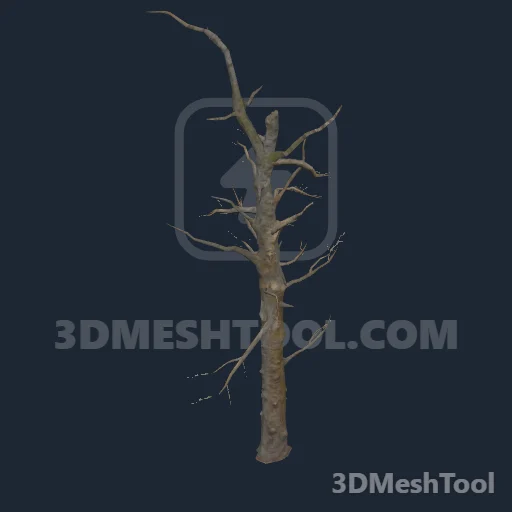 p_tree_pine_dead_02 - hash 0xAA7E79BB / 2860415419: foto no RedM (RDR2)