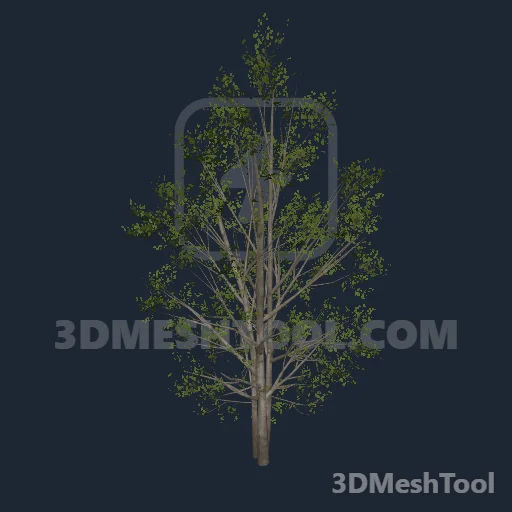 p_tree_poplar_01 - hash 0x0AE80EA4 / 182980260: foto no RedM (RDR2)