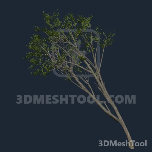 p_tree_riv_poplar_02 - hash 0x72B98757 / 1924761431: foto no RedM (RDR2)