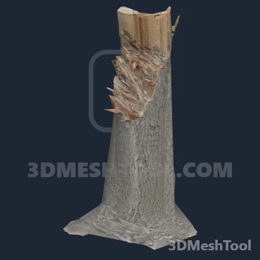 p_tree_stump_cedar_02a - hash 0x282EDF77 / 674160503: foto no RedM (RDR2)