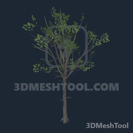 p_tree_white_oak_01 - hash 0x8472BA79 / 2222111353: foto no RedM (RDR2)
