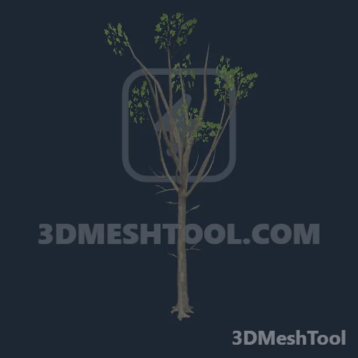 p_tree_white_oak_01_ch - hash 0x3FE494EF / 1071944943: foto no RedM (RDR2)