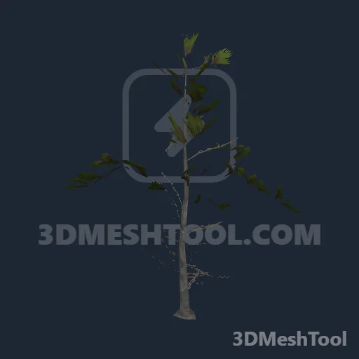 p_tree_whitepine_sap_02 - hash 0x6E3C9661 / 1849464417: foto no RedM (RDR2)