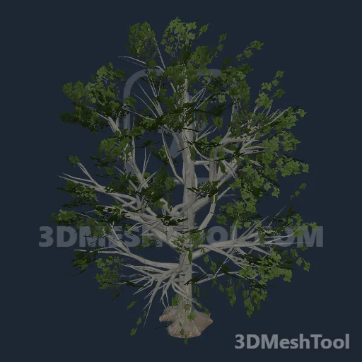 rdr2_tree_beech - hash 0xD4283AEB / 3559406315: foto no RedM (RDR2)