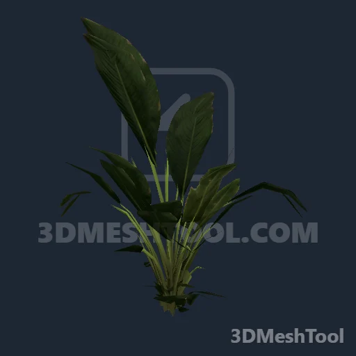rdr_bush_broad_aa_sim - hash 0xA916B510 / 2836837648: foto no RedM (RDR2)